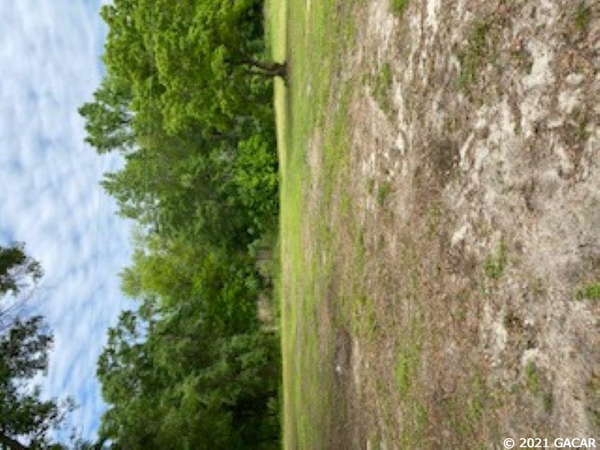 9963 Southwest 38th Way Lake Butler, FL 32054 - Photo 3 of 6 Gallery Image 3