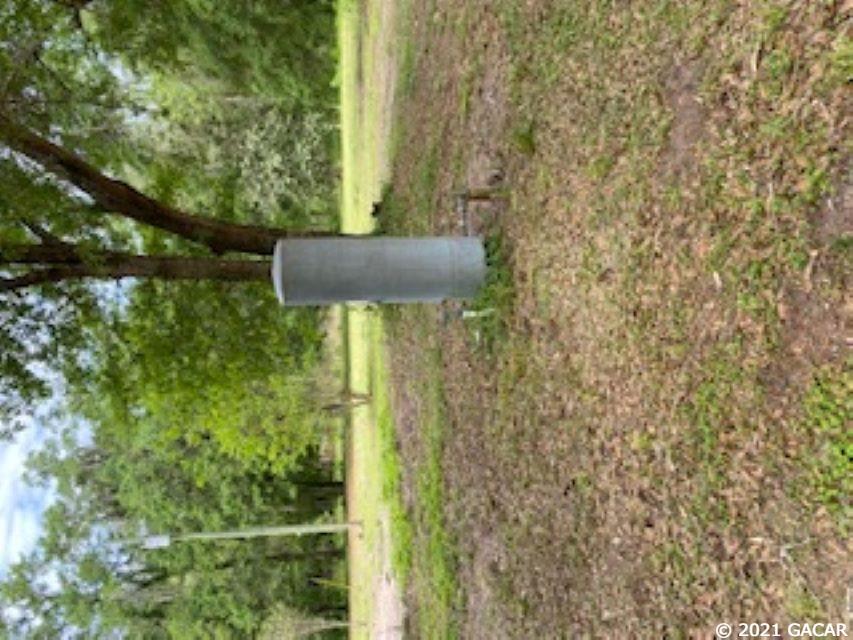 9963 Southwest 38th Way Lake Butler, FL 32054 - Photo 5 of 6 Gallery Image 5