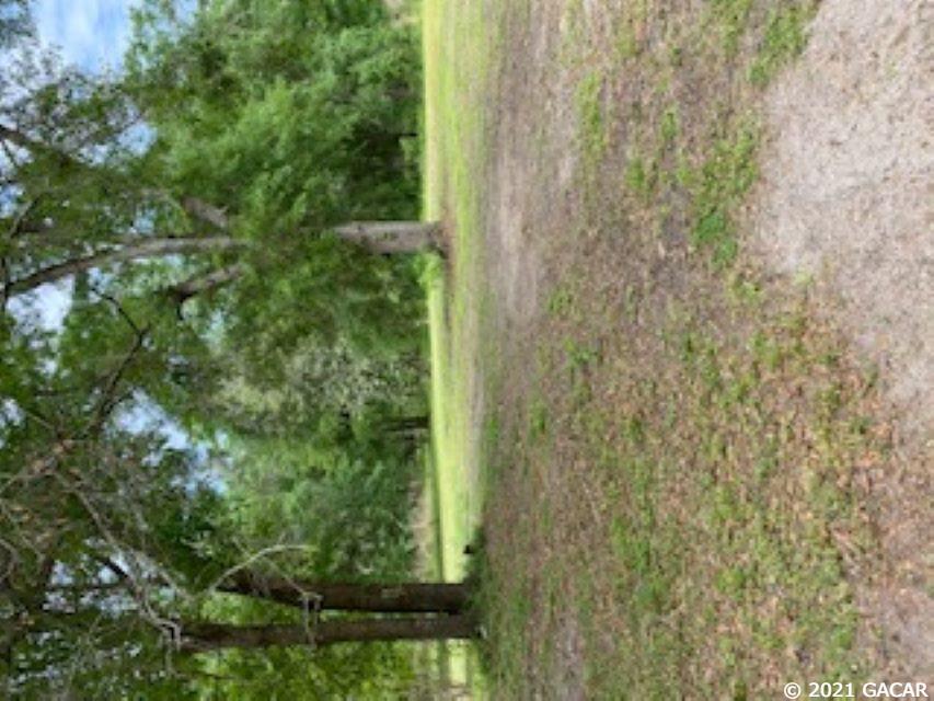 9963 Southwest 38th Way Lake Butler, FL 32054 - Photo 6 of 6 Gallery Image 6