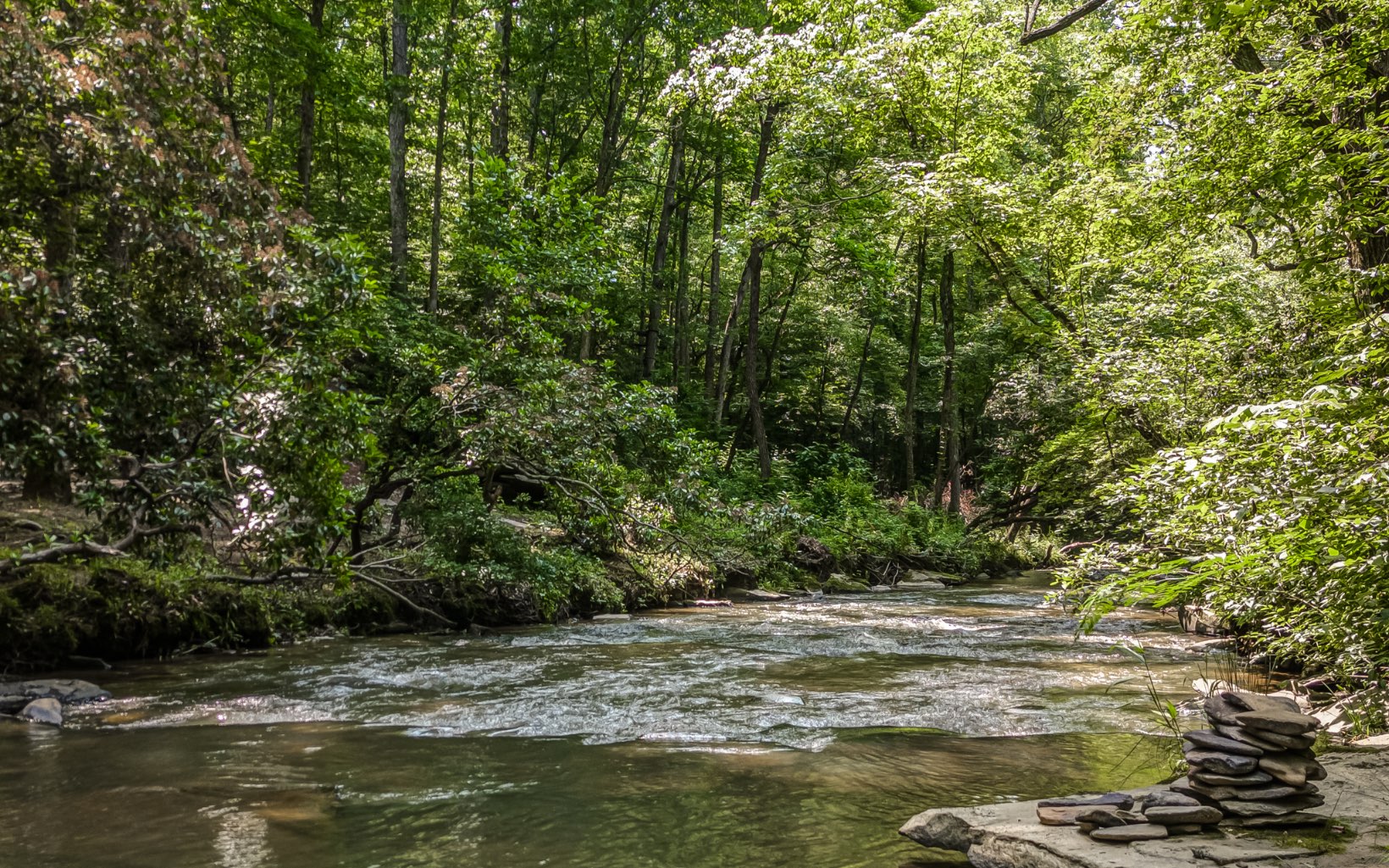 856 Town Creek Church Road Talking Rock, GA 30175 - Photo 73 of 75 Additional View