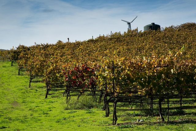 a view of a mountain with a outdoor space