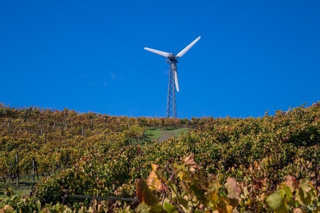 a view of a city with mountains in the background
