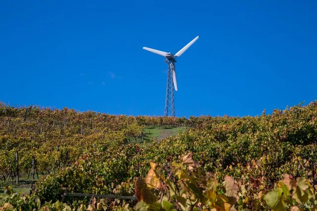 a view of a city with mountains in the background