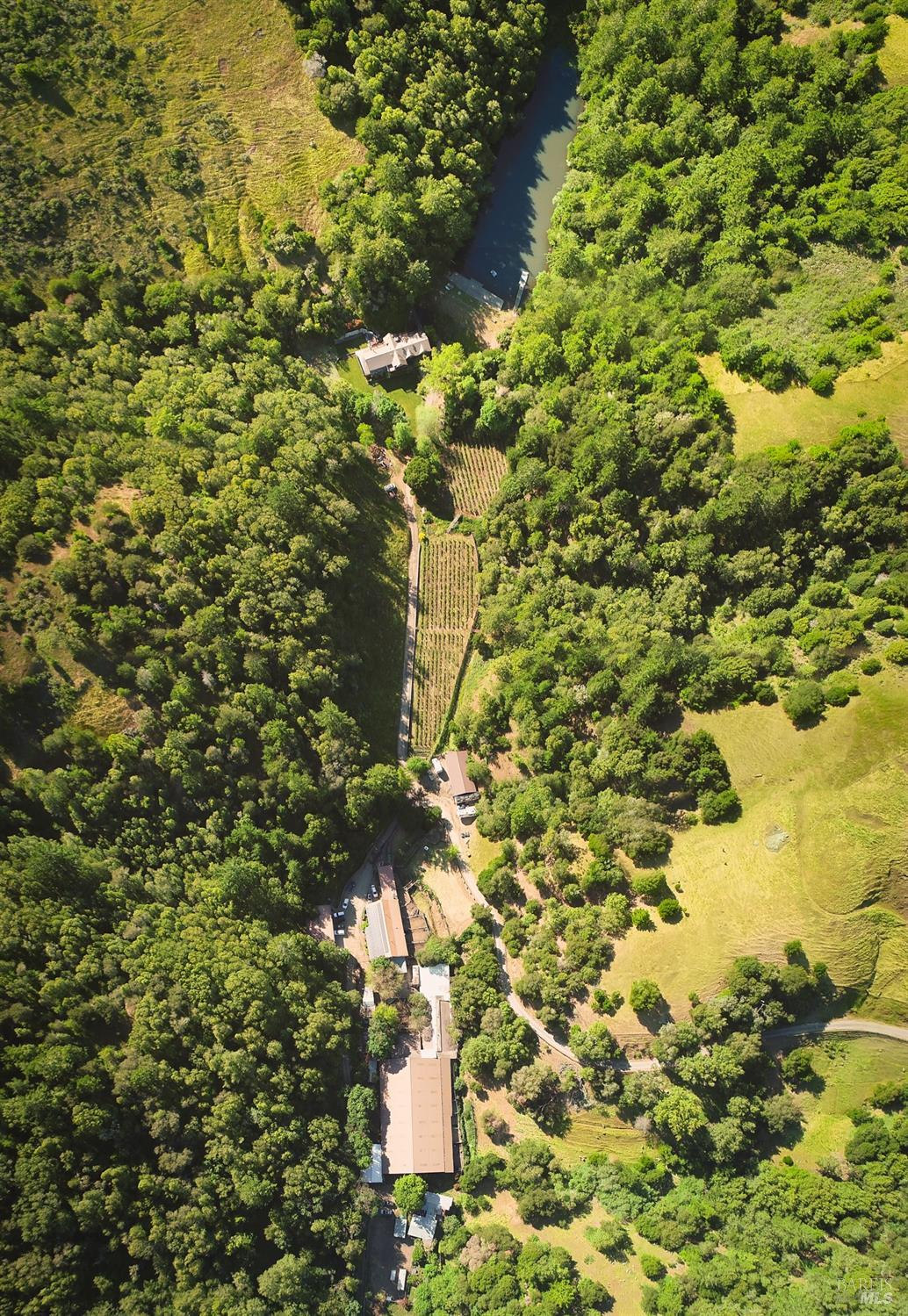 200 Rd To Ranch Nicasio, CA 94946 - Photo 29 of 37 a view of a tree with lots of tree