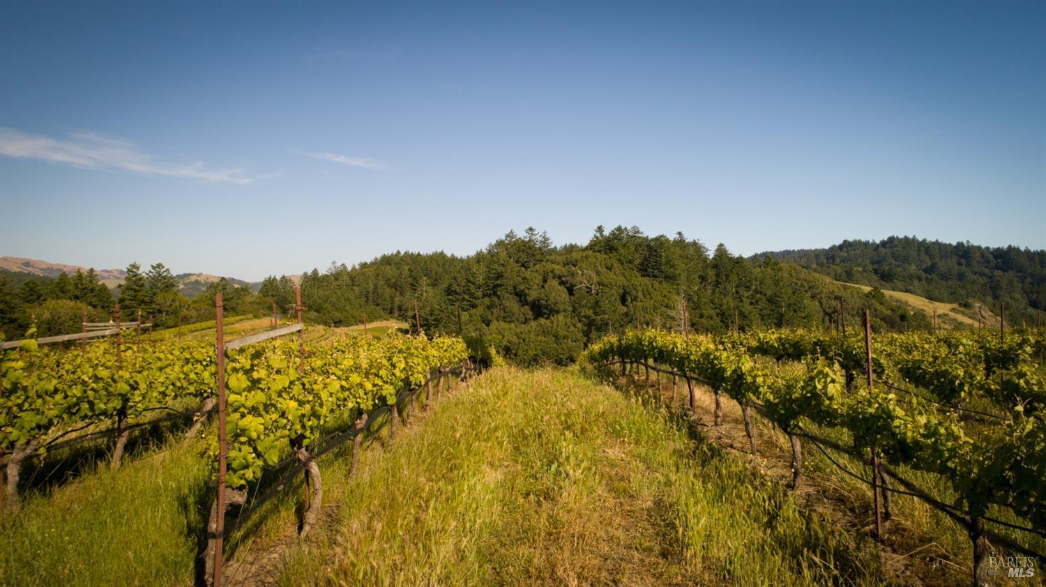 200 Rd To Ranch Nicasio, CA 94946 - Photo 31 of 37 a view of mountain view