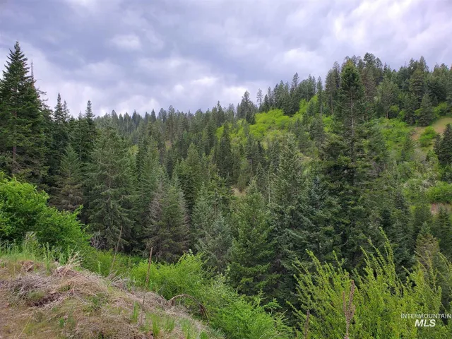 $658,000 | Tbd Clearwater Avenue, Kooskia, ID 83539