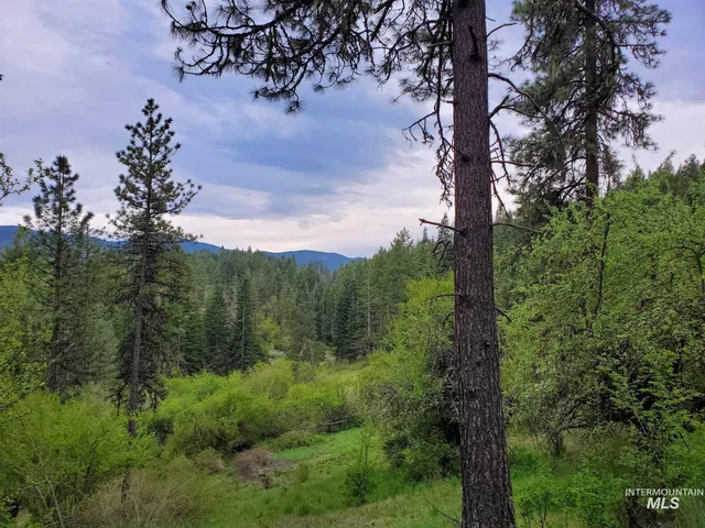 $658,000 | Tbd Clearwater Avenue, Kooskia, ID 83539