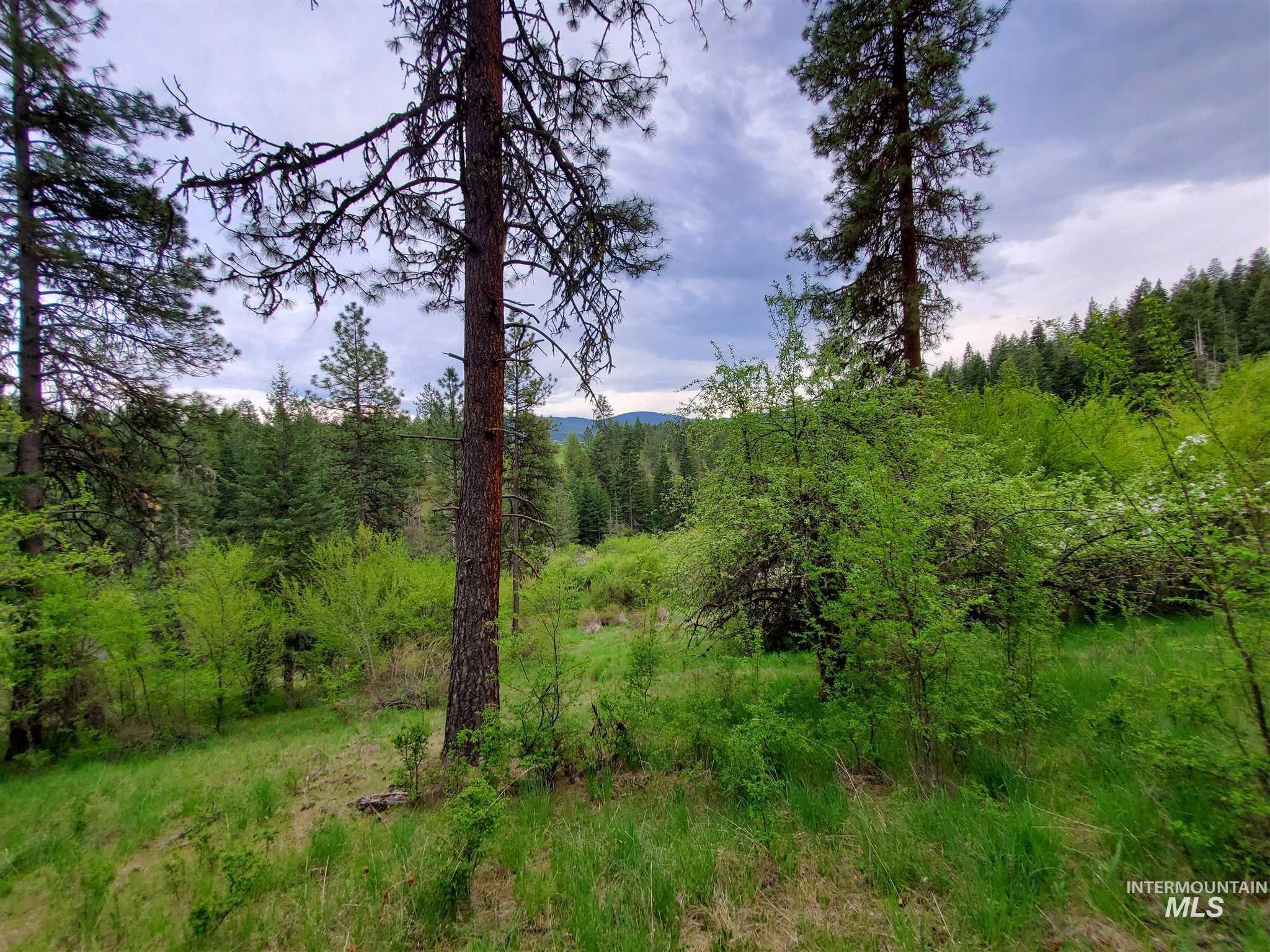 Tbd Clearwater Avenue Kooskia, ID 83539 - Photo 12 of 18