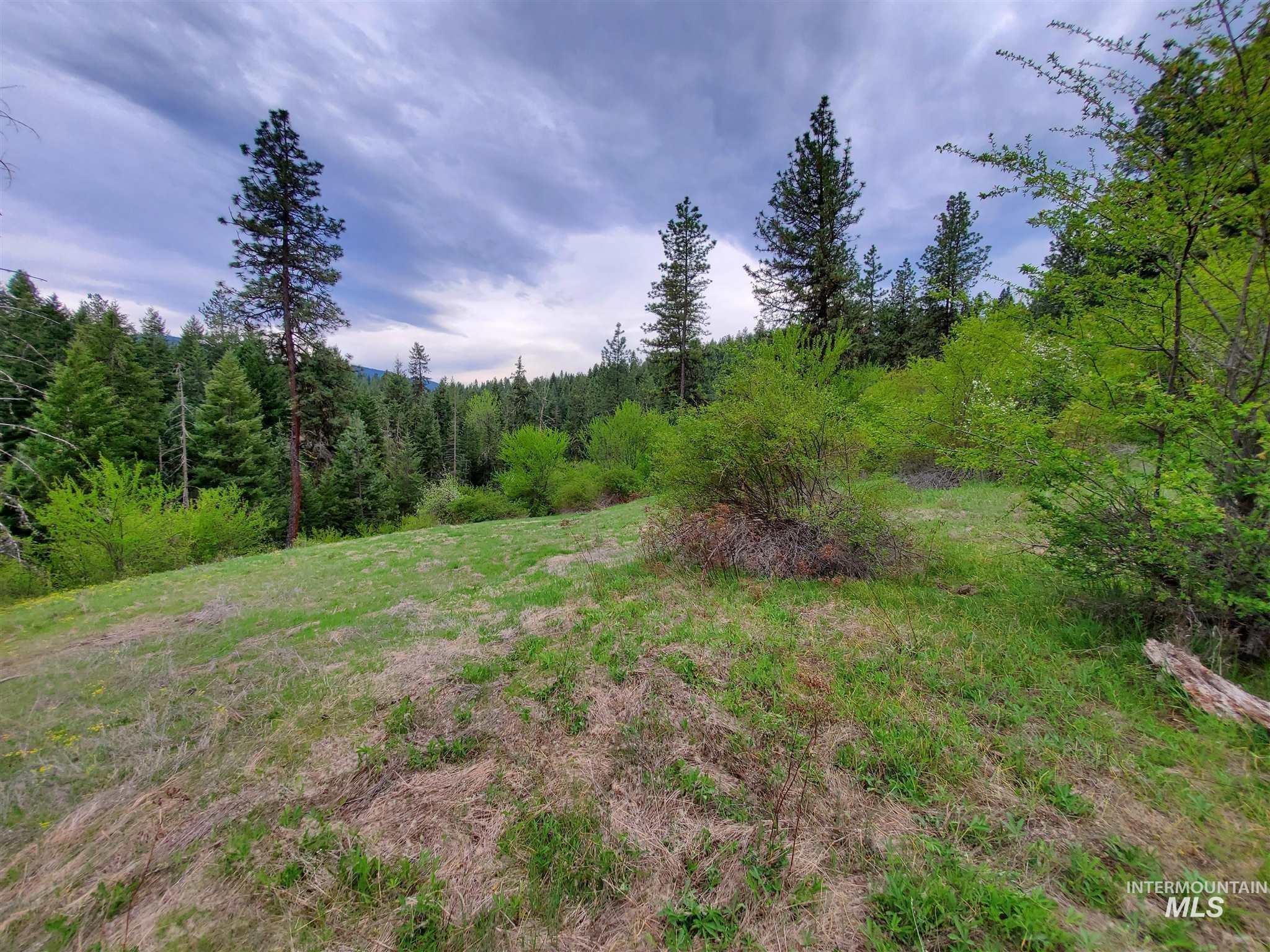 Tbd Clearwater Avenue Kooskia, ID 83539 - Photo 13 of 18