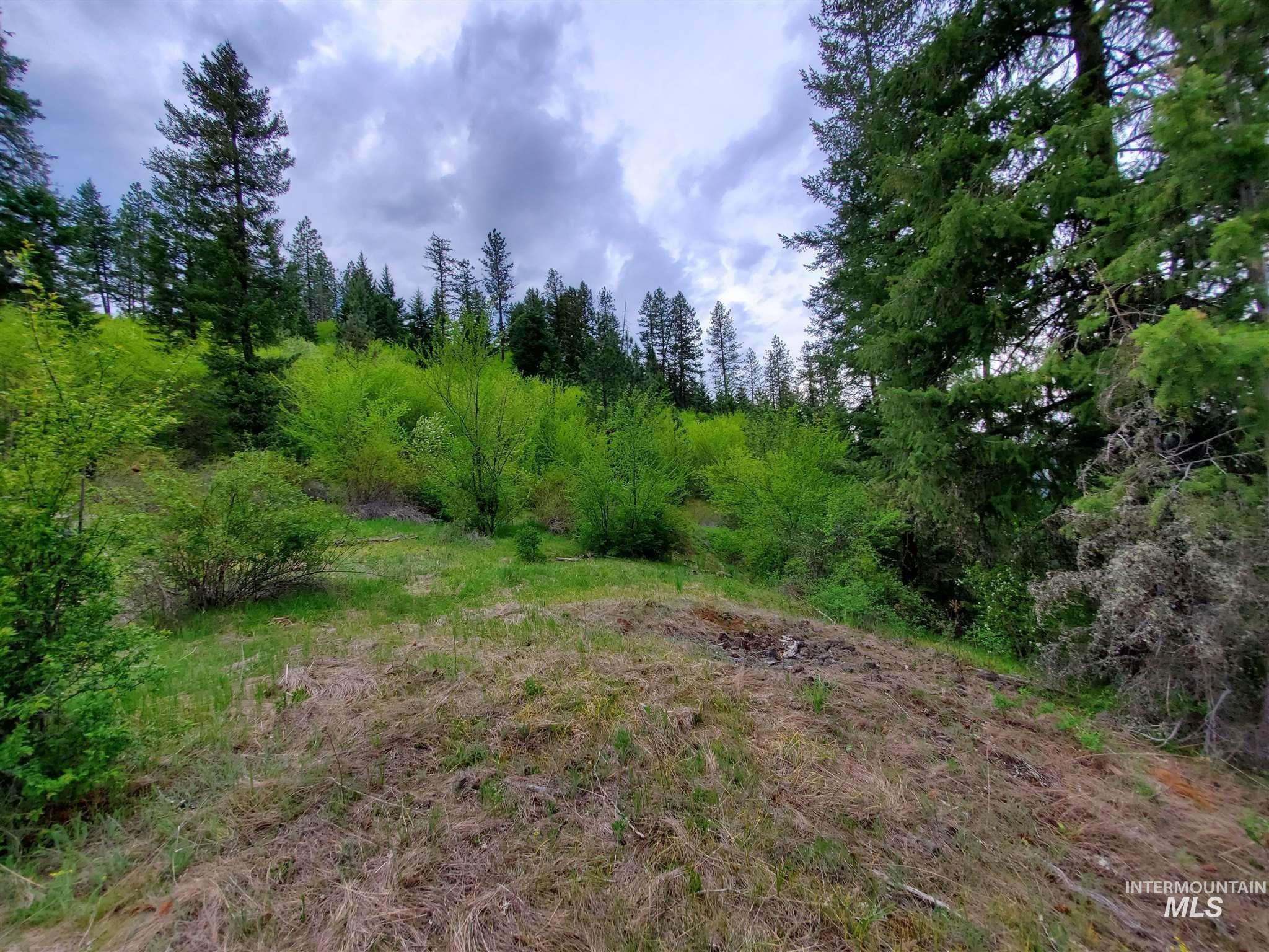 Tbd Clearwater Avenue Kooskia, ID 83539 - Photo 14 of 18