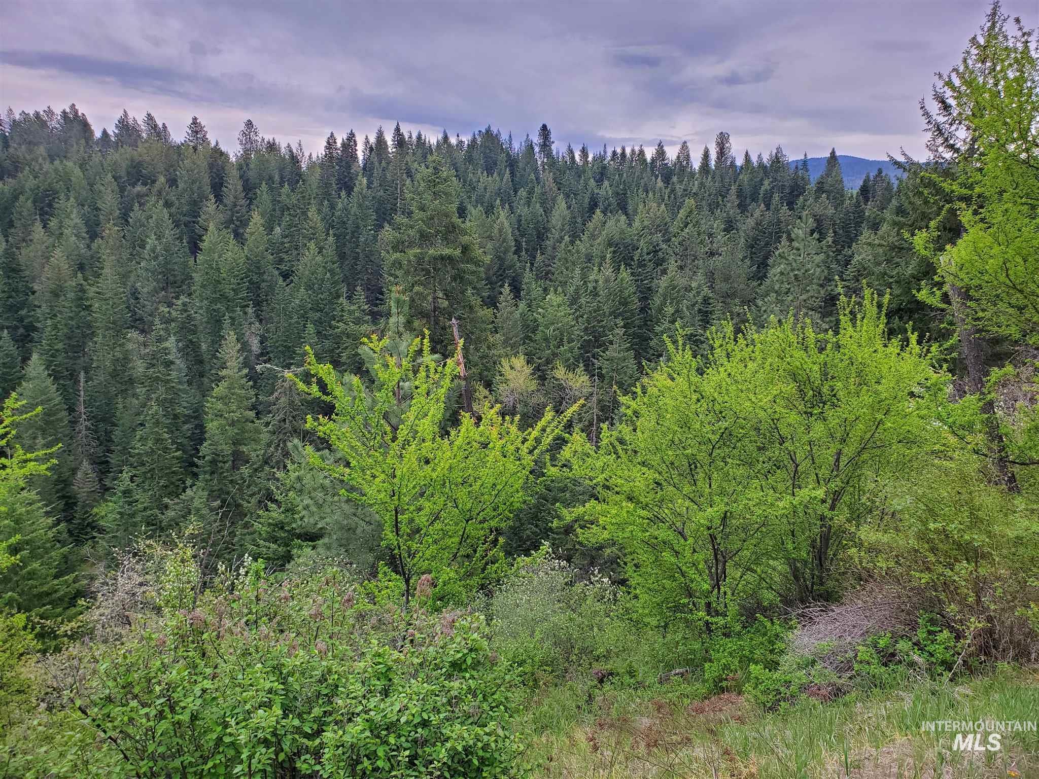 Tbd Clearwater Avenue Kooskia, ID 83539 - Photo 15 of 18