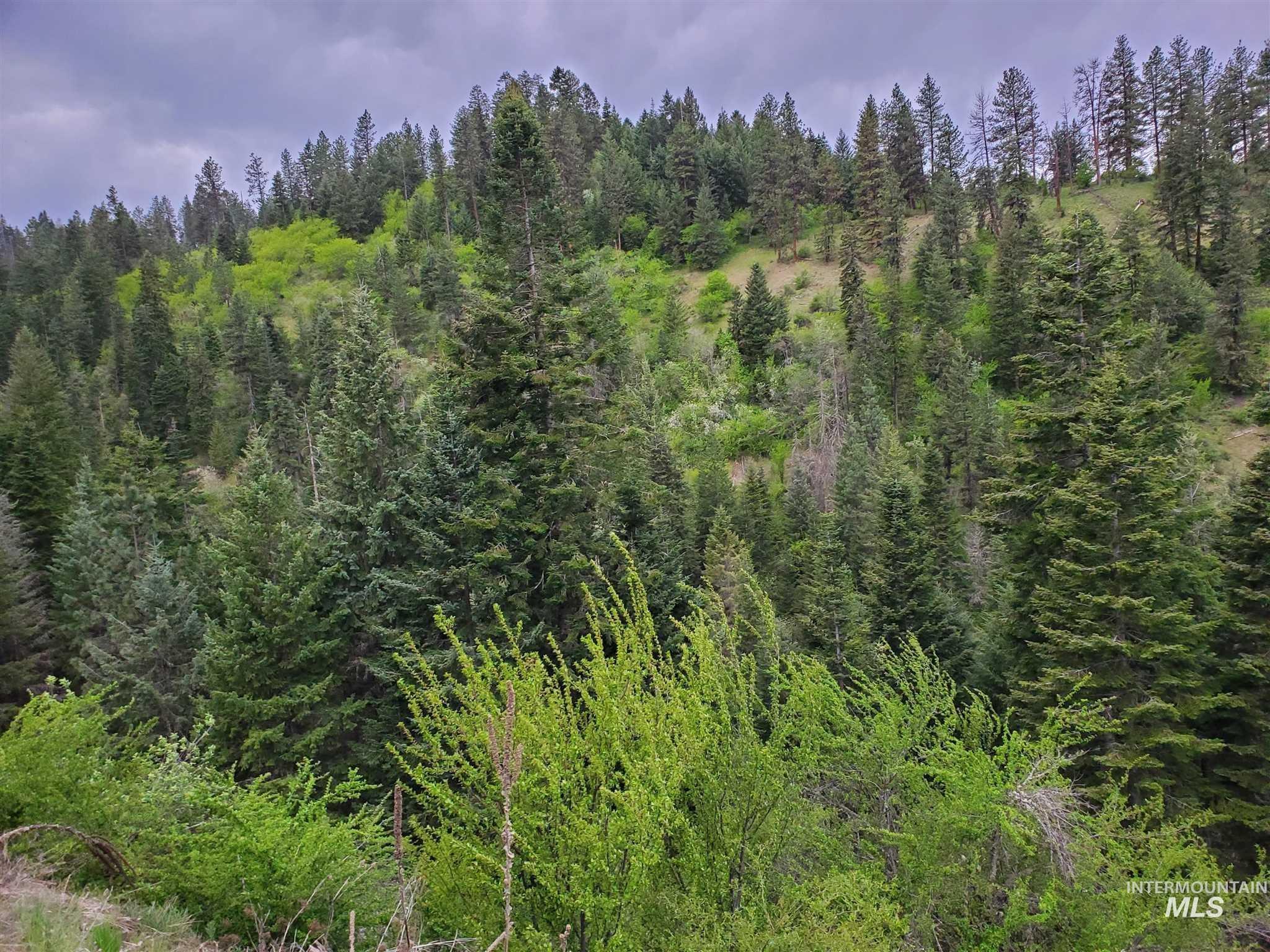 Tbd Clearwater Avenue Kooskia, ID 83539 - Photo 17 of 18