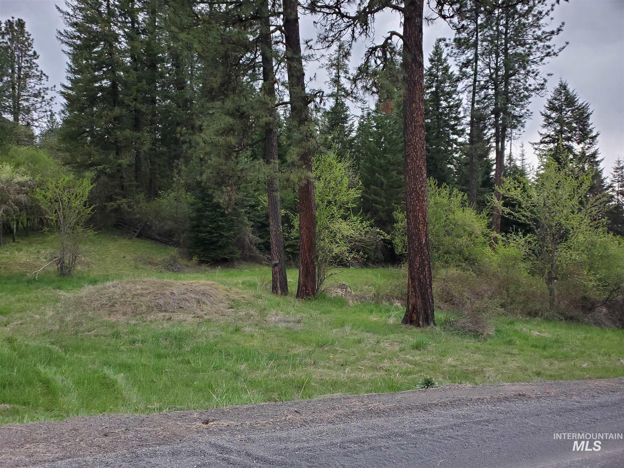 Tbd Clearwater Avenue Kooskia, ID 83539 - Photo 3 of 18
