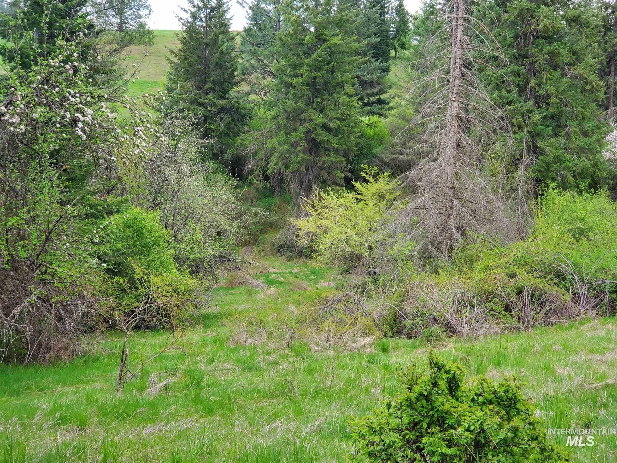 Tbd Clearwater Avenue Kooskia, ID 83539 - Photo 5 of 18