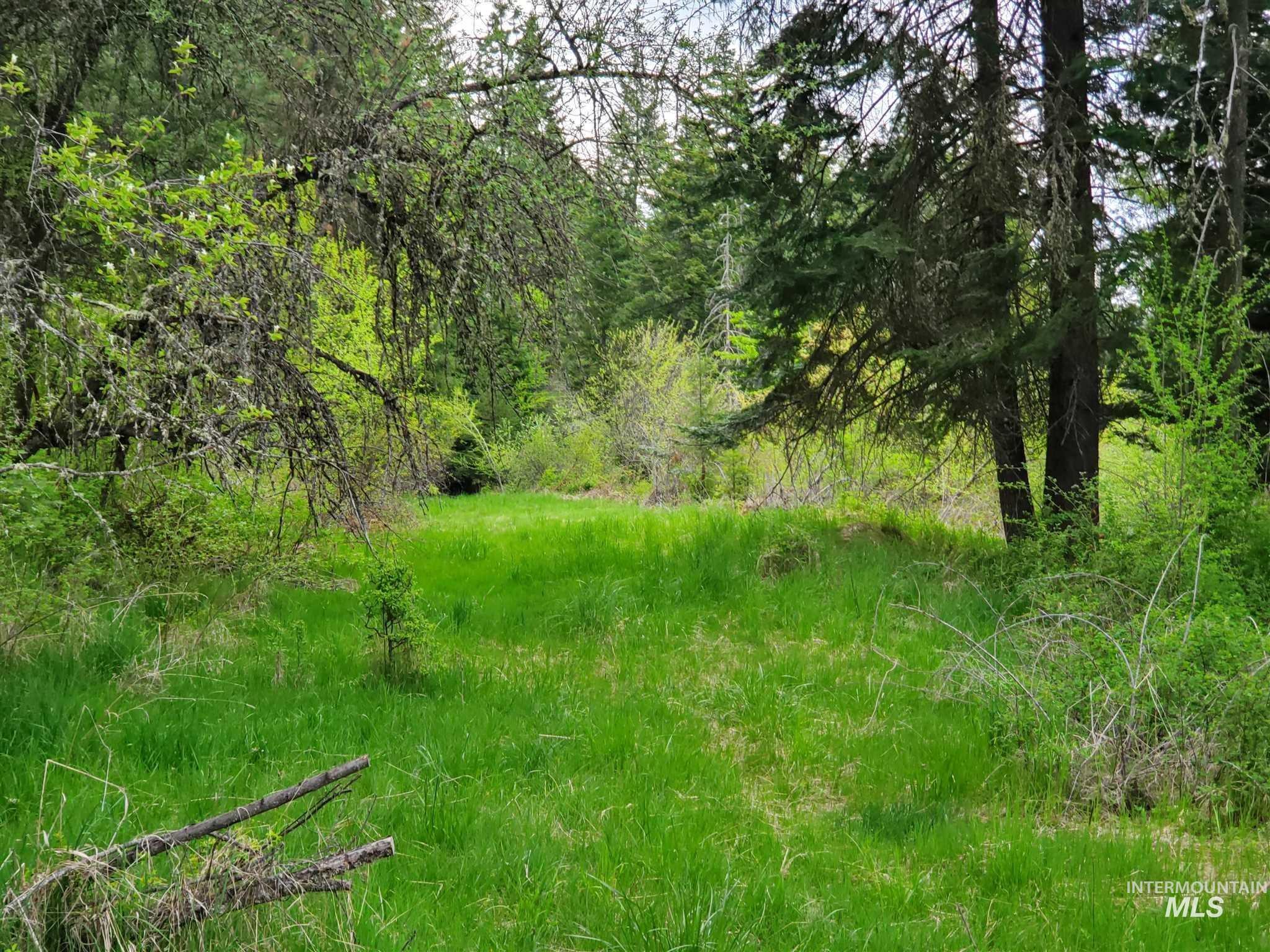 Tbd Clearwater Avenue Kooskia, ID 83539 - Photo 6 of 18