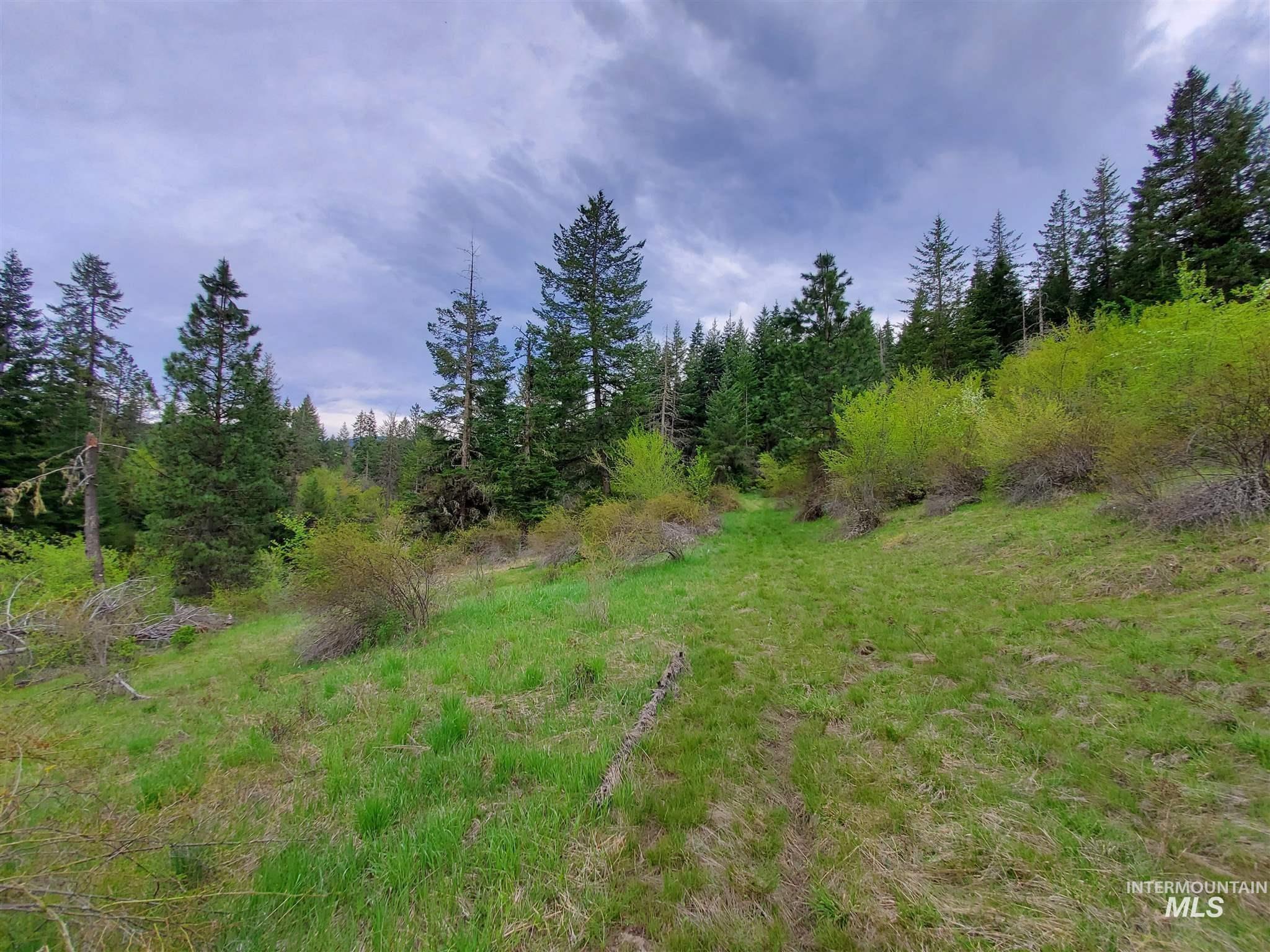 Tbd Clearwater Avenue Kooskia, ID 83539 - Photo 9 of 18