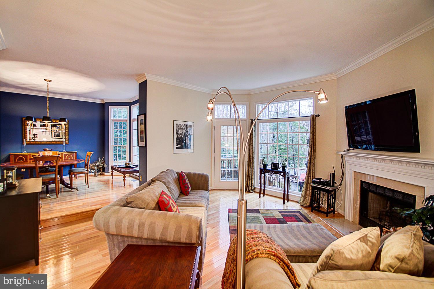 11452 Hollow Timber Court Reston, VA 20194 - Photo 7 of 18 Living Room