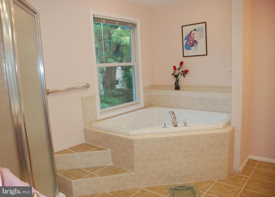 400 Aigburth Road Towson, MD 21286 - Photo 14 of 20 Bath (Master)