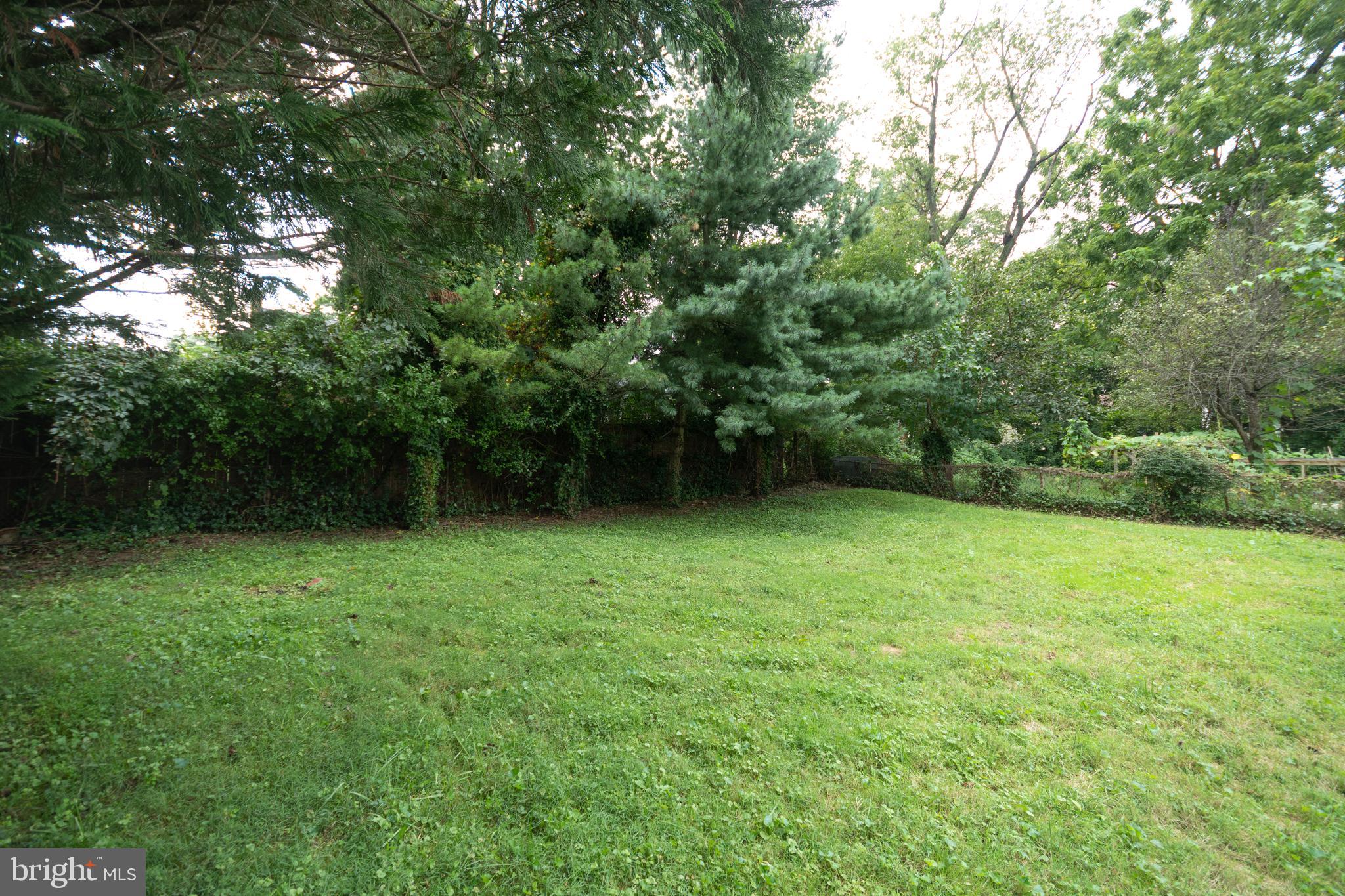 1516 Windham Lane Silver Spring, MD 20902 - Photo 25 of 25 Gallery Image 25