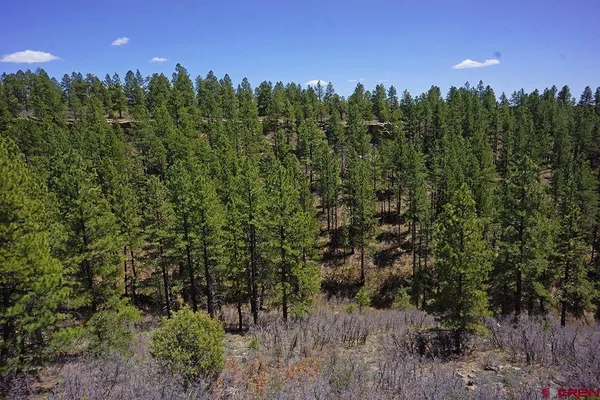 a view of a city with lush green forest