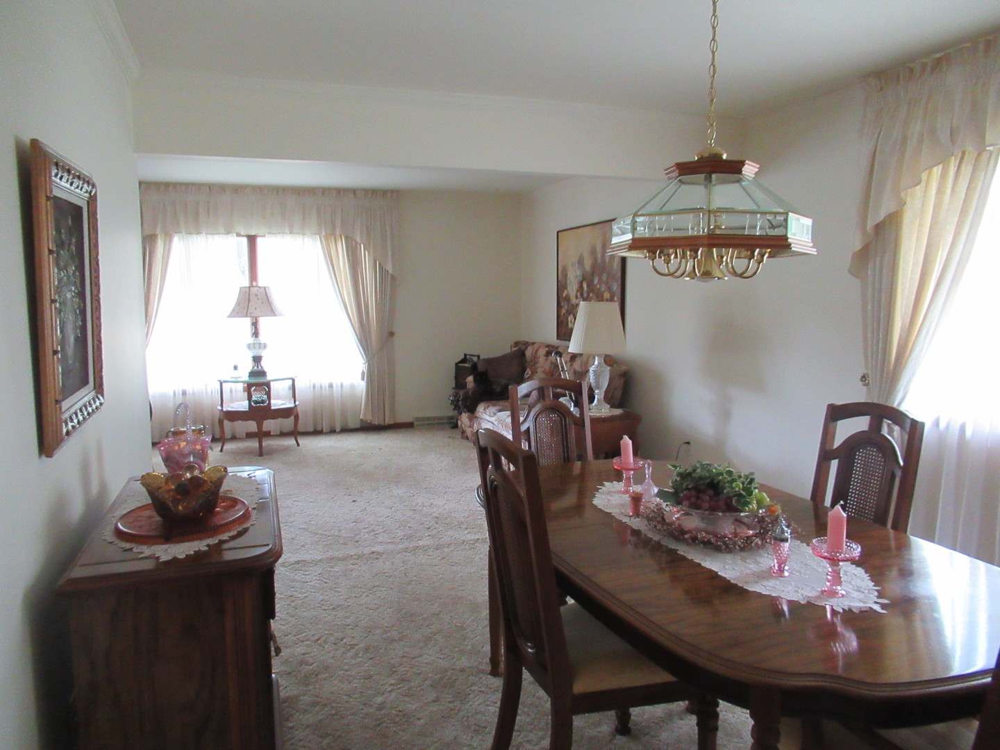 1N321 Country Life Drive Maple Park, IL 60151 - Photo 10 of 53