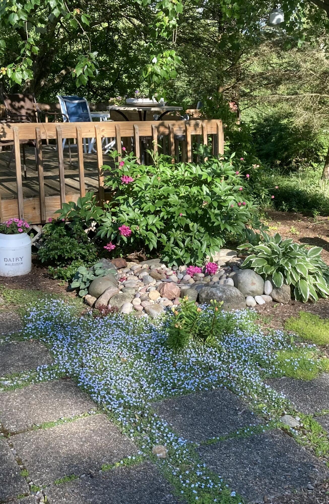 3249 Hendee Road Jackson, MI 49201 - Photo 43 of 54 FullSizeRender (1)