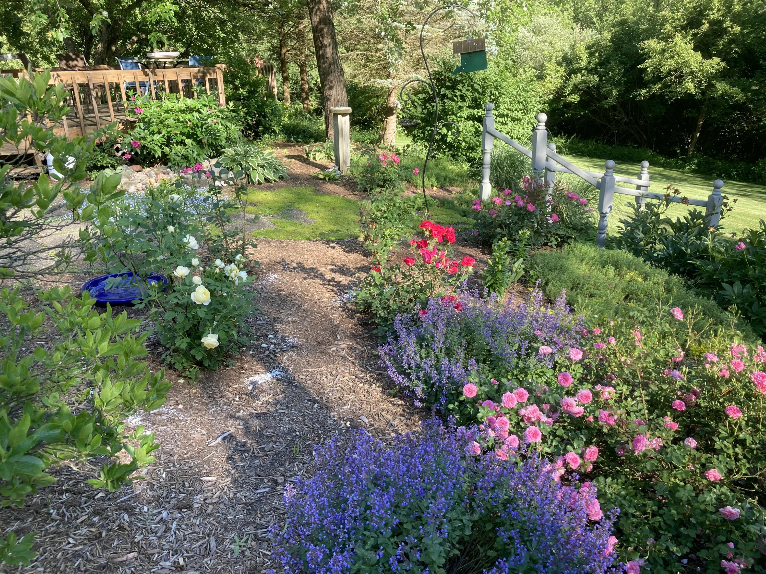 3249 Hendee Road Jackson, MI 49201 - Photo 44 of 54 IMG_4111