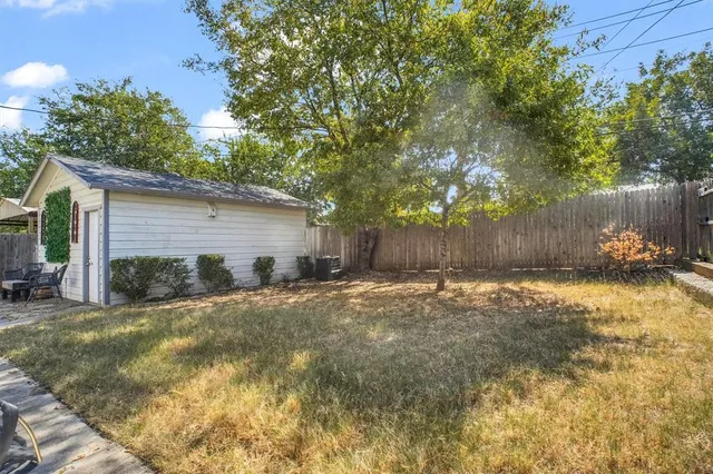 a view of a backyard with plants and large tree