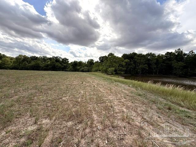 Lot 2-3 Tungoil Road Walnut Hill, FL 32568 - Photo 7 of 11
