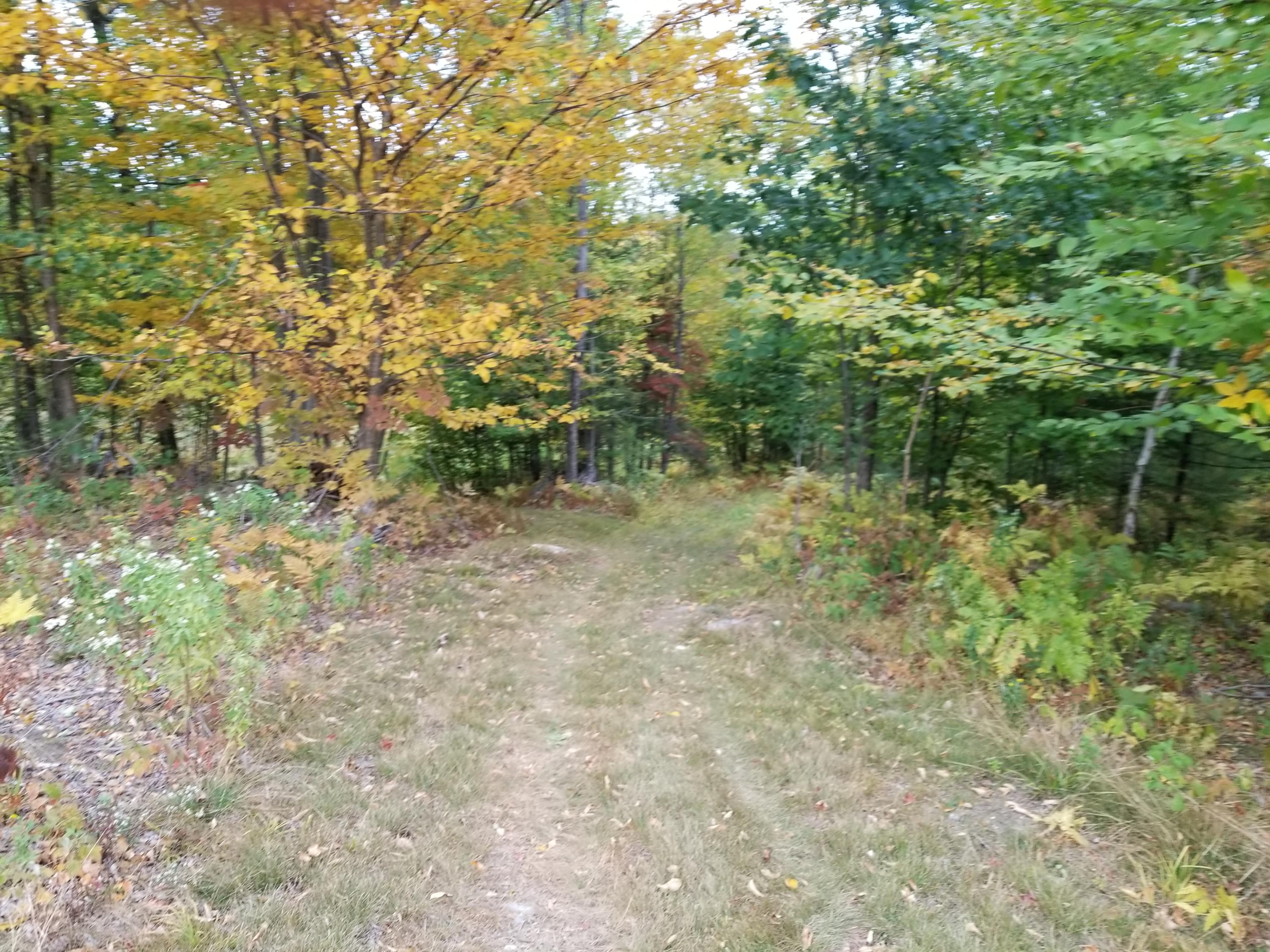 407 Darnit Road Buckfield, ME 04220 - Photo 37 of 41 20200924_165541
