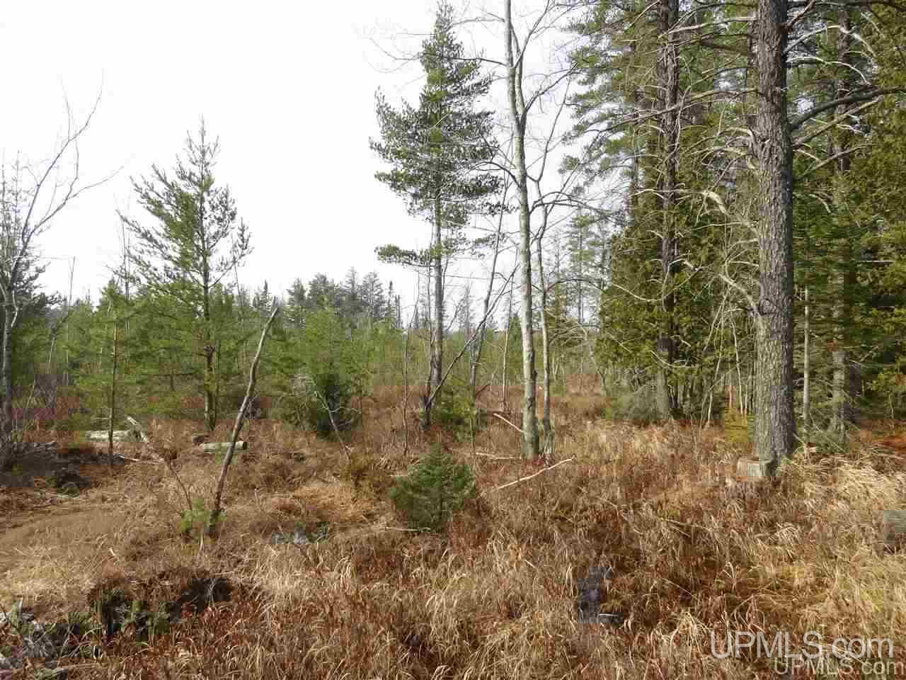 80-acres 80-acres Co Road Negaunee, MI 49866 - Photo 33 of 45