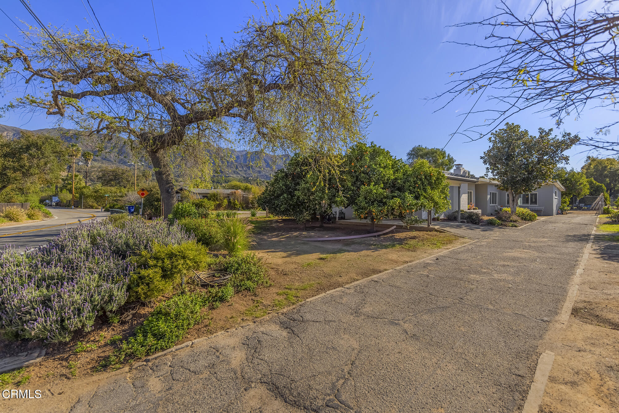 456 North Rice Road Ojai, CA 93023 - Photo 2 of 55 a view of road with large trees