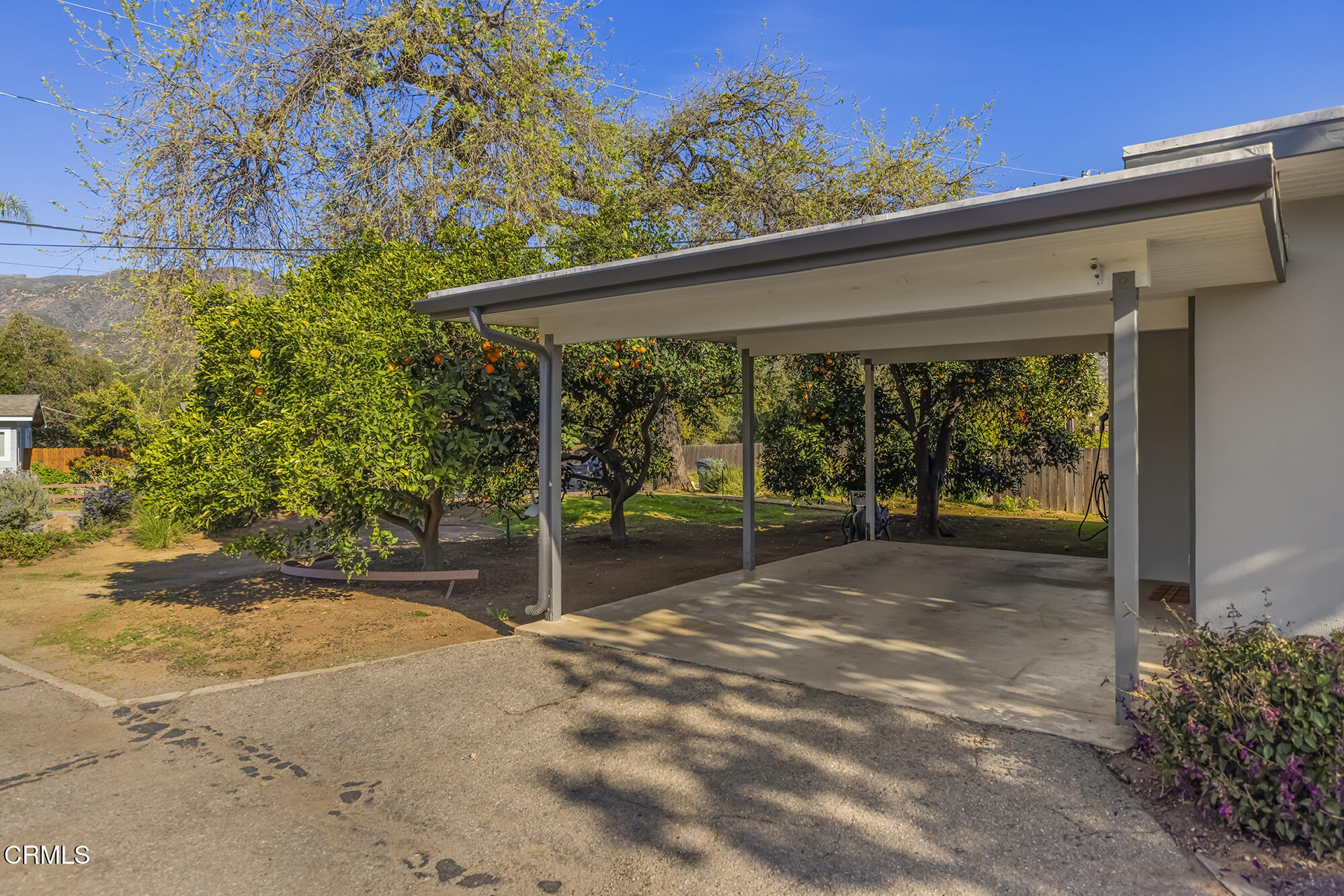 456 North Rice Road Ojai, CA 93023 - Photo 29 of 55 a view of a backyard with floor to ceiling window and tree