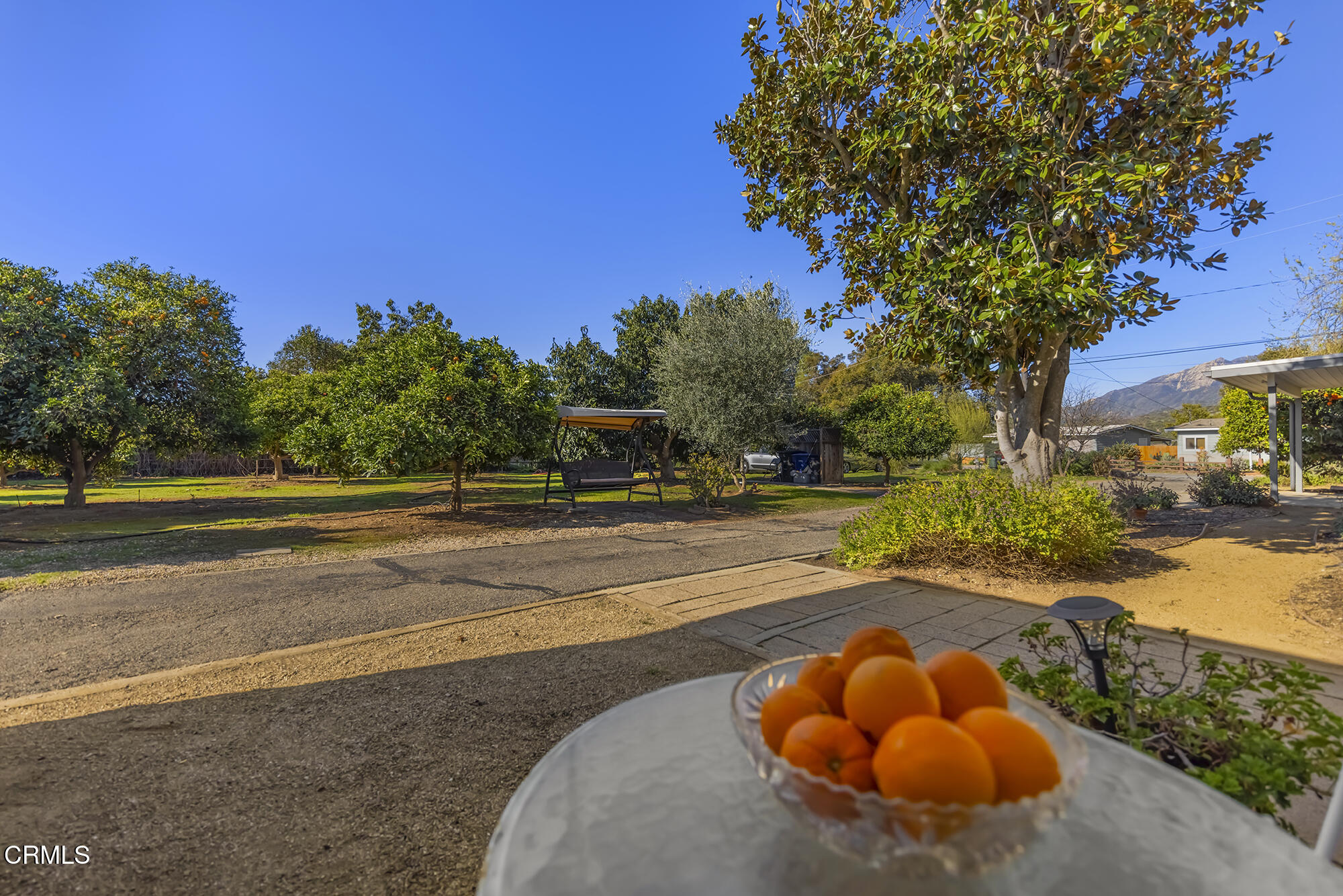 456 North Rice Road Ojai, CA 93023 - Photo 6 of 55 a view of a swimming pool with a slide and a fire pit