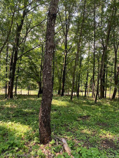 7 Sleaford-parcel 7 - 2 Acres Road Howell, MI 48843 - Photo 22 of 45