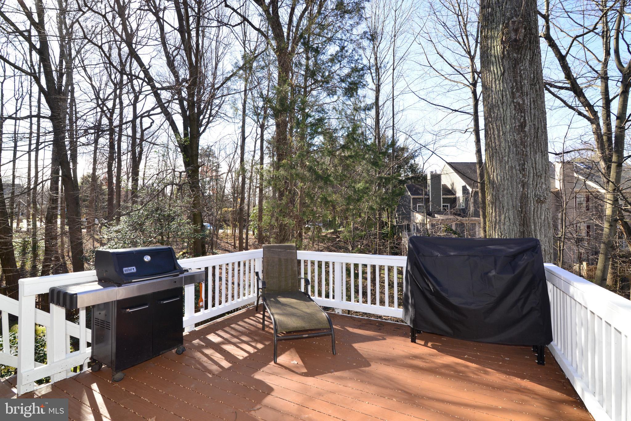 11627 Springhouse Place Reston, VA 20194 - Photo 48 of 57