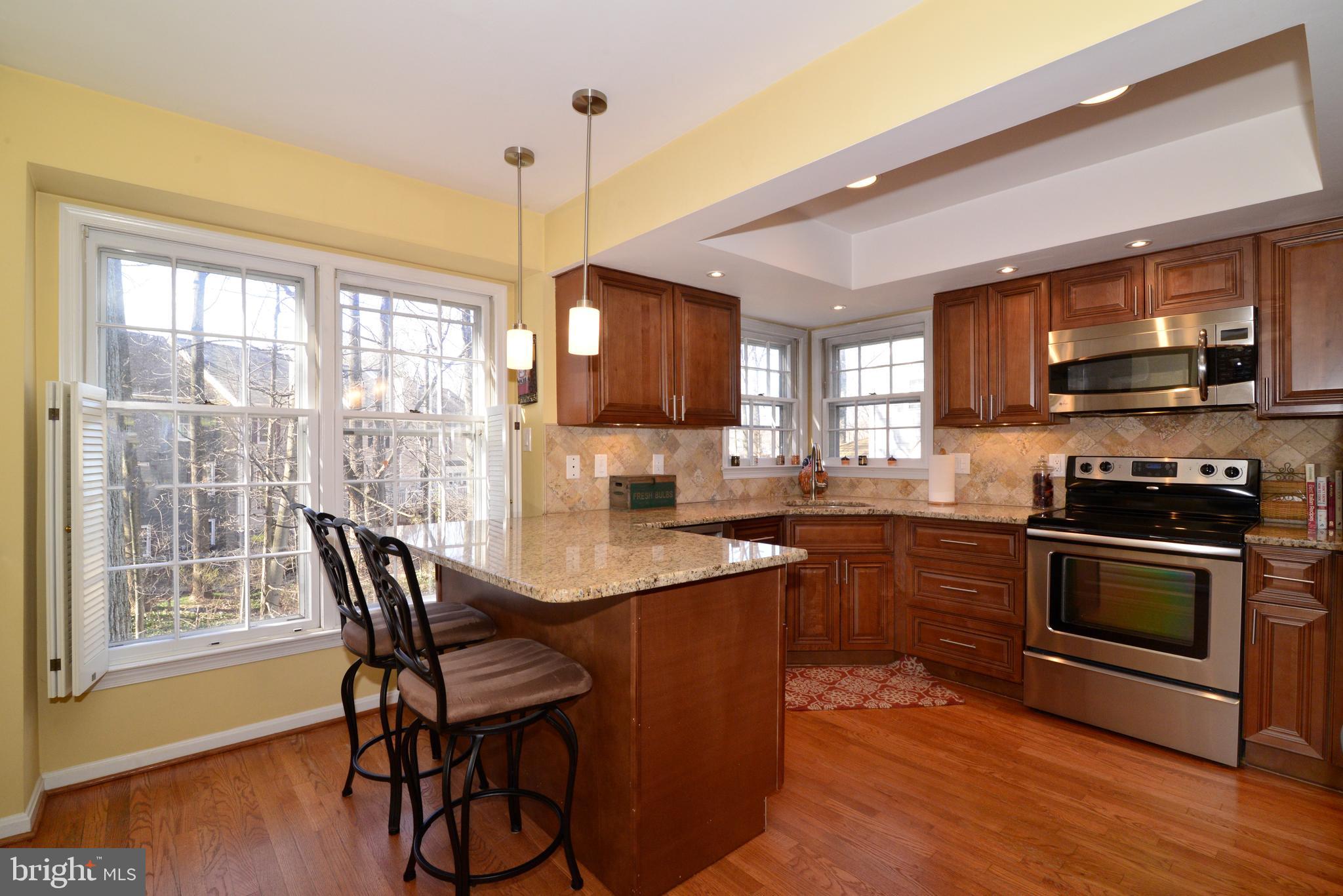 11627 Springhouse Place Reston, VA 20194 - Photo 7 of 57