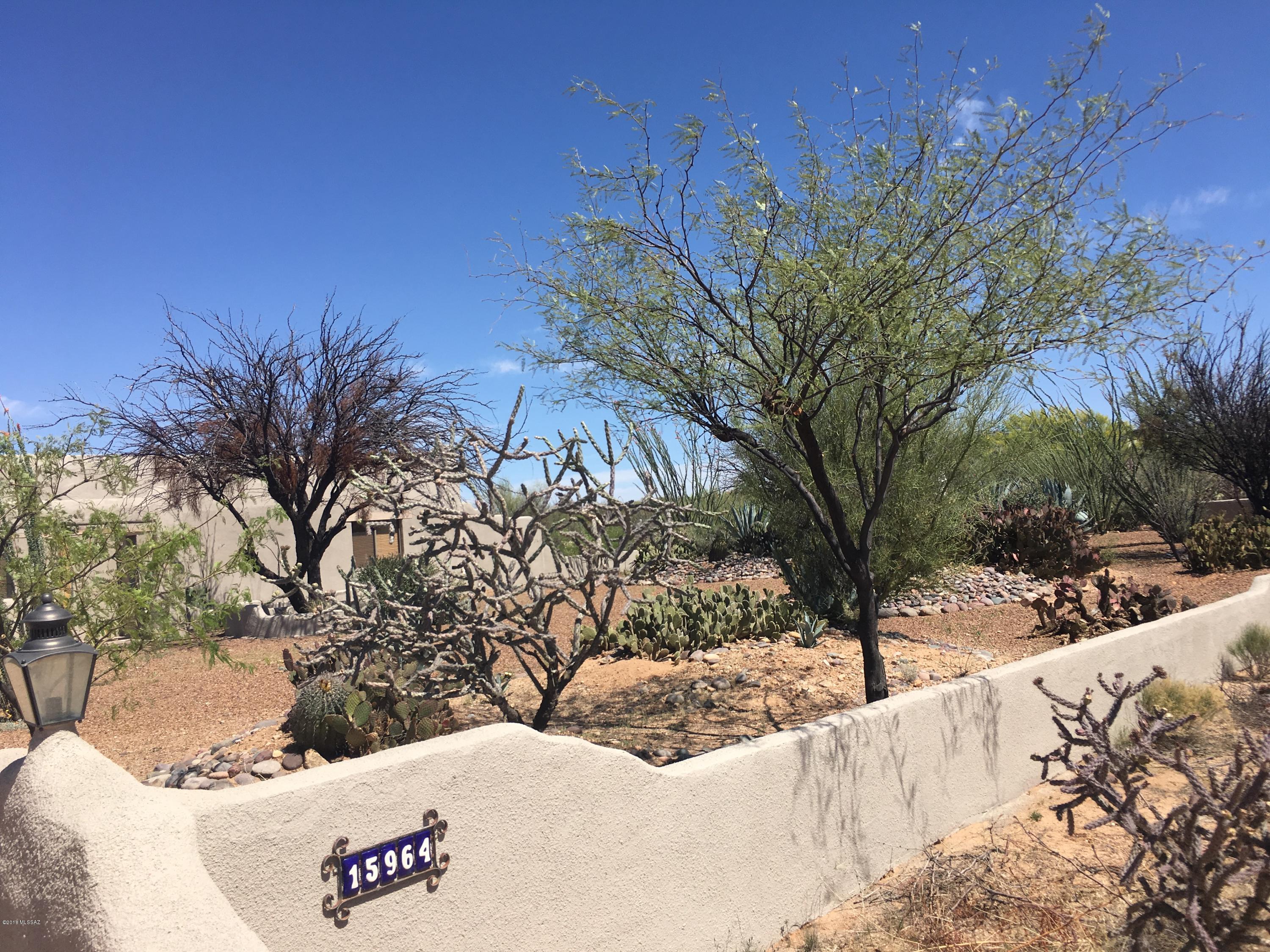 15964 West Ravinia Avenue Tucson, AZ 85736 - Photo 30 of 40 Gallery Image 30