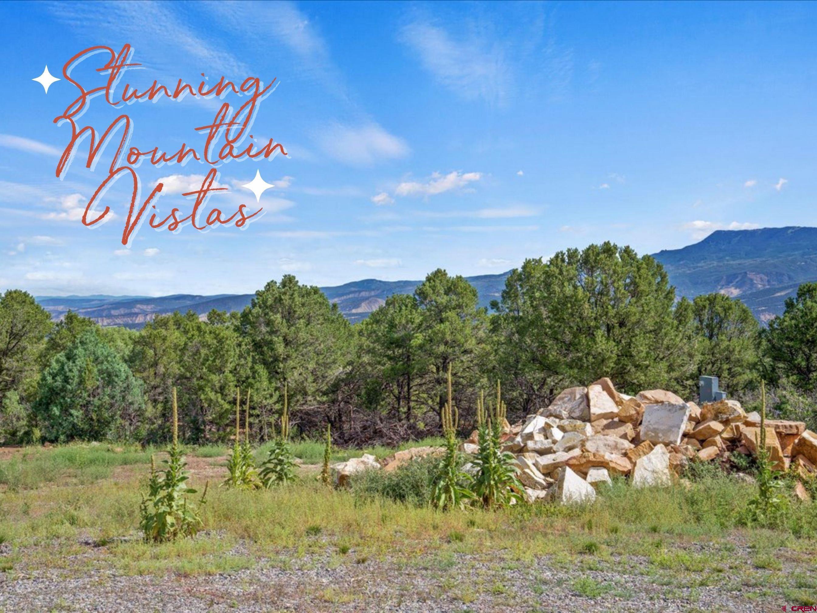 23 Pine Drive Ridgway, CO 81432 - Photo 14 of 26 a view of a street with a building in the background