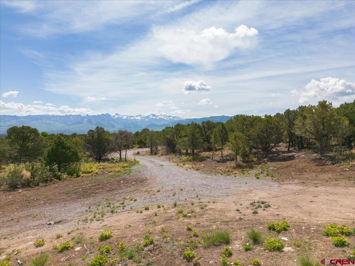 23 Pine Drive Ridgway, CO 81432 - Photo 19 of 26 a view of a dirt yard with mountain view