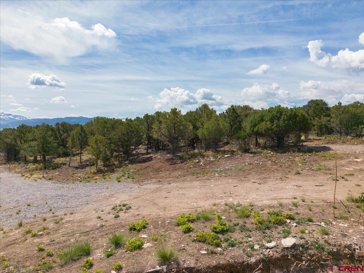 23 Pine Drive Ridgway, CO 81432 - Photo 20 of 26 a view of a dry yard