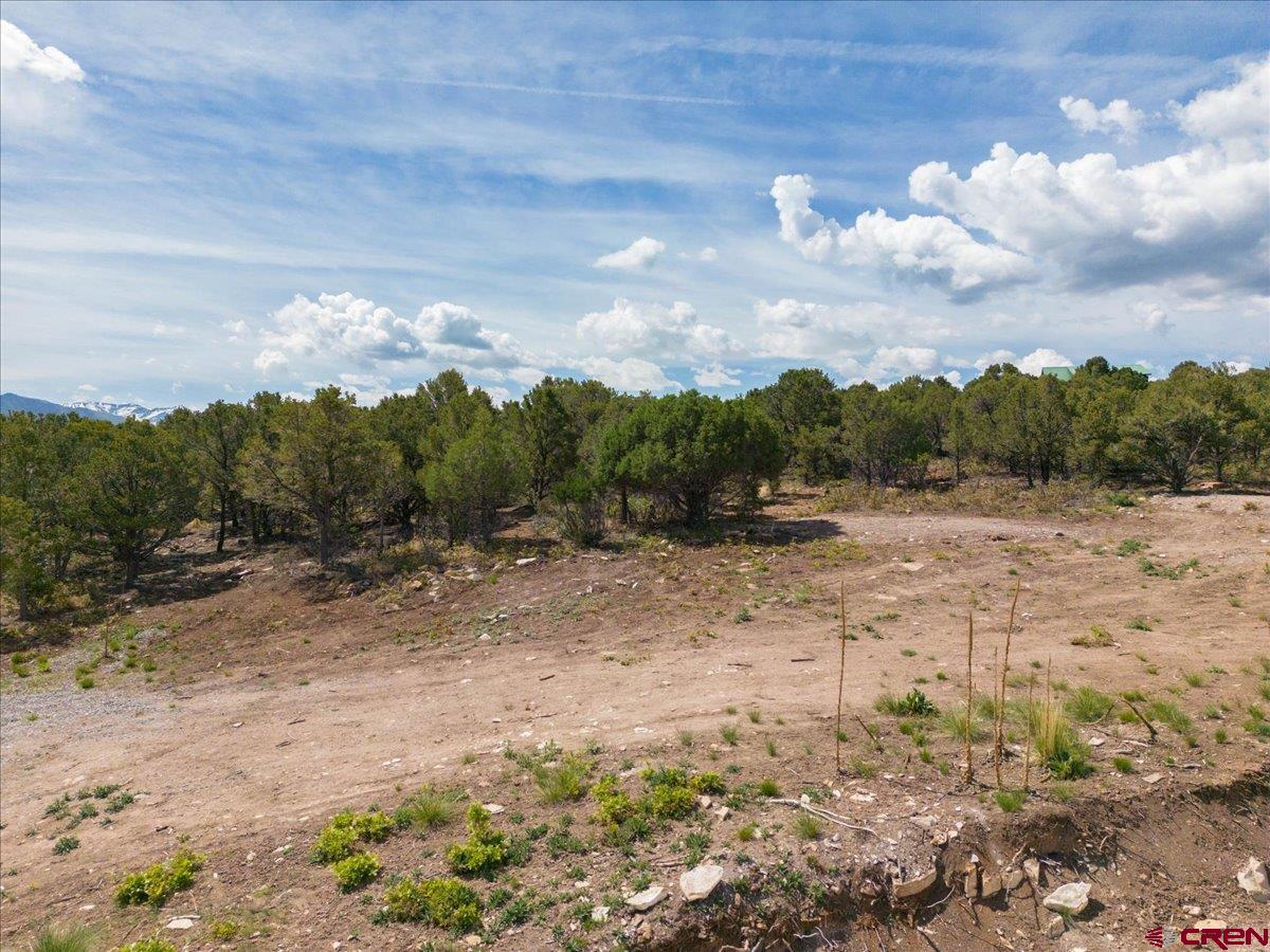 23 Pine Drive Ridgway, CO 81432 - Photo 21 of 26