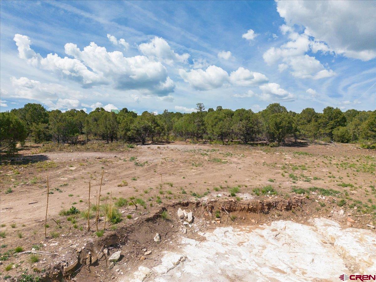 23 Pine Drive Ridgway, CO 81432 - Photo 22 of 26 a view of lake