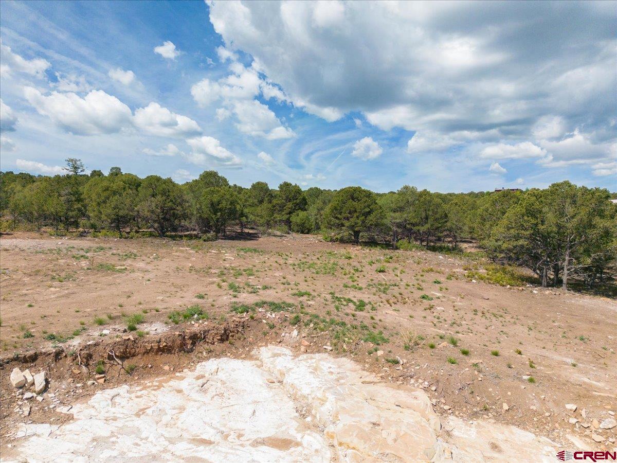 23 Pine Drive Ridgway, CO 81432 - Photo 23 of 26 a view of lake