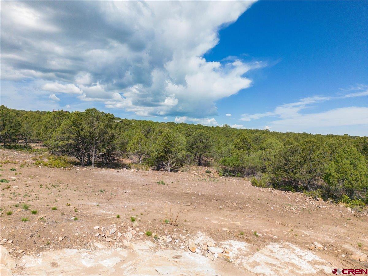 23 Pine Drive Ridgway, CO 81432 - Photo 24 of 26 a view of a road with a big yard