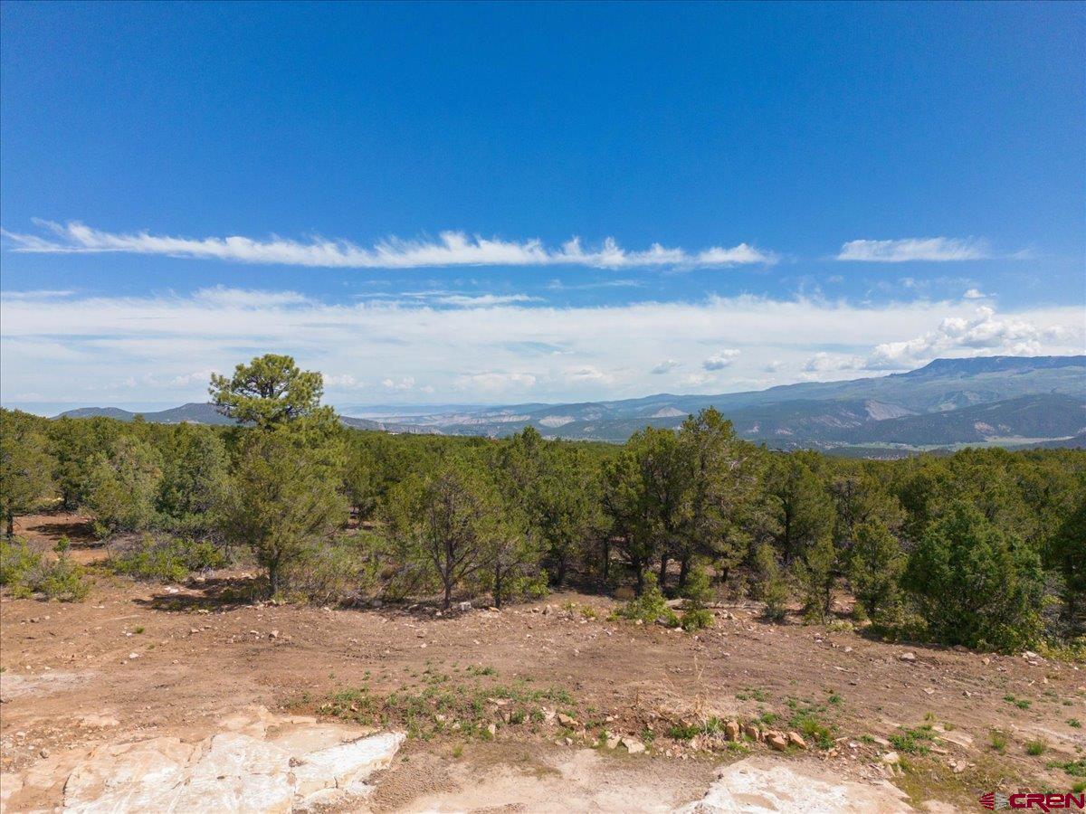 23 Pine Drive Ridgway, CO 81432 - Photo 25 of 26 a view of a yard with a tree