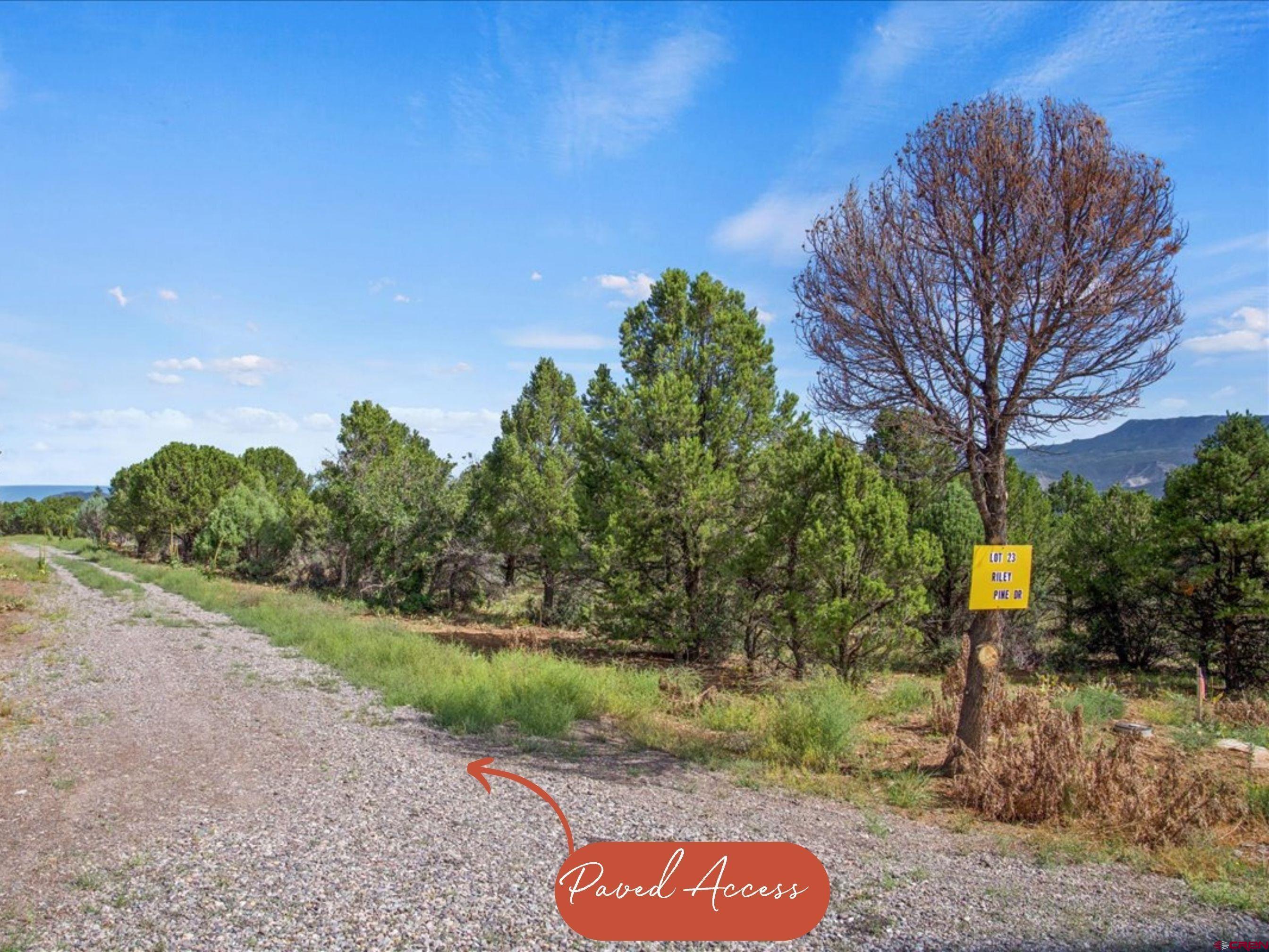 23 Pine Drive Ridgway, CO 81432 - Photo 8 of 26 a backyard of a house with lots of green space