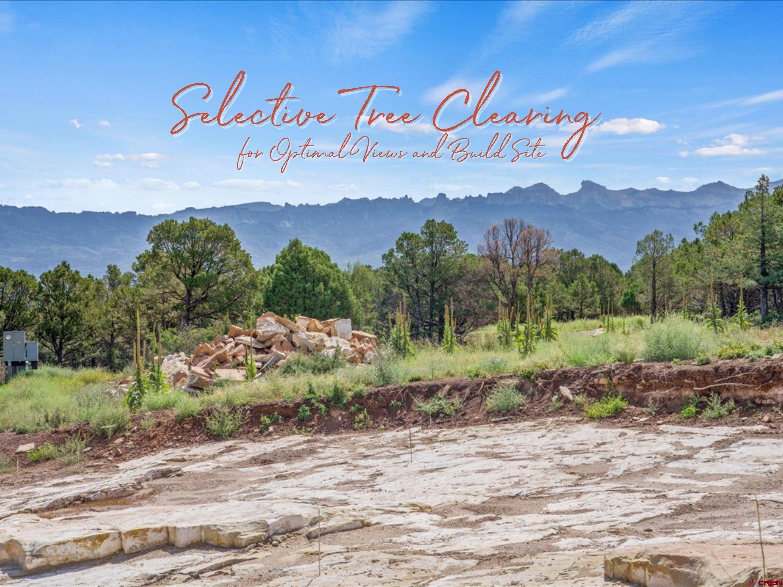 23 Pine Drive Ridgway, CO 81432 - Photo 9 of 26 a view of a street with a building in the background