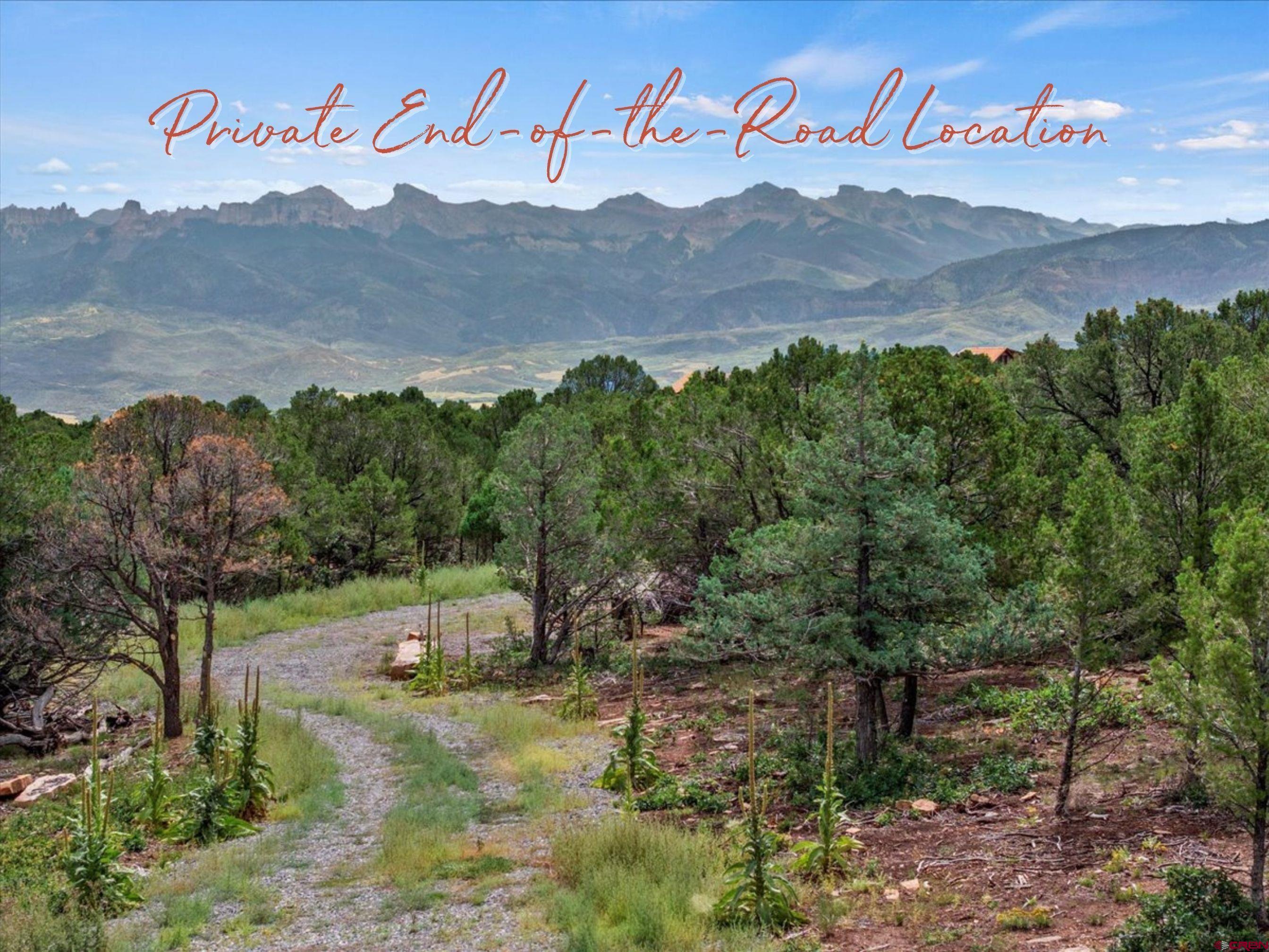 23 Pine Drive Ridgway, CO 81432 - Photo 10 of 26 a view of outdoor space with mountain view