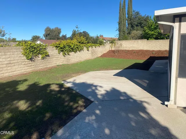 a view of a yard with a yard